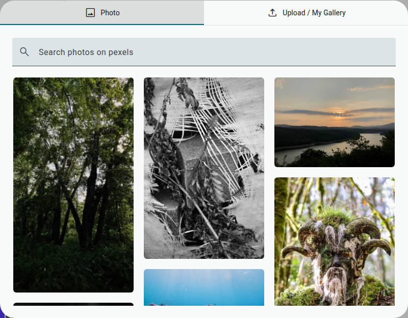 The Background Image picker, showing the Photo tab with a Pexels search box and thumbnail results, and an Upload / My Gallery tab.