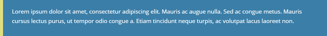 Paragraph item showing example text