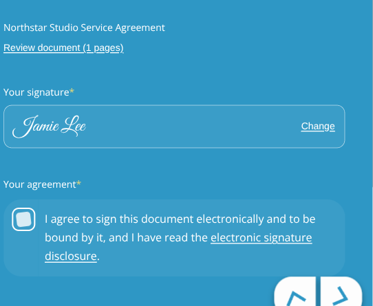 Signature control and electronic-signature consent in the signing form