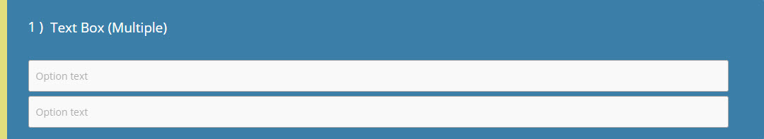 Text Box (Multiple) Question